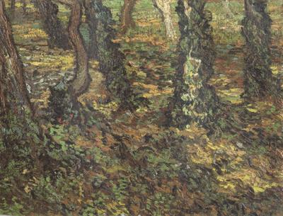 Vincent Van Gogh Tree Trunks with Ivy (nn04)